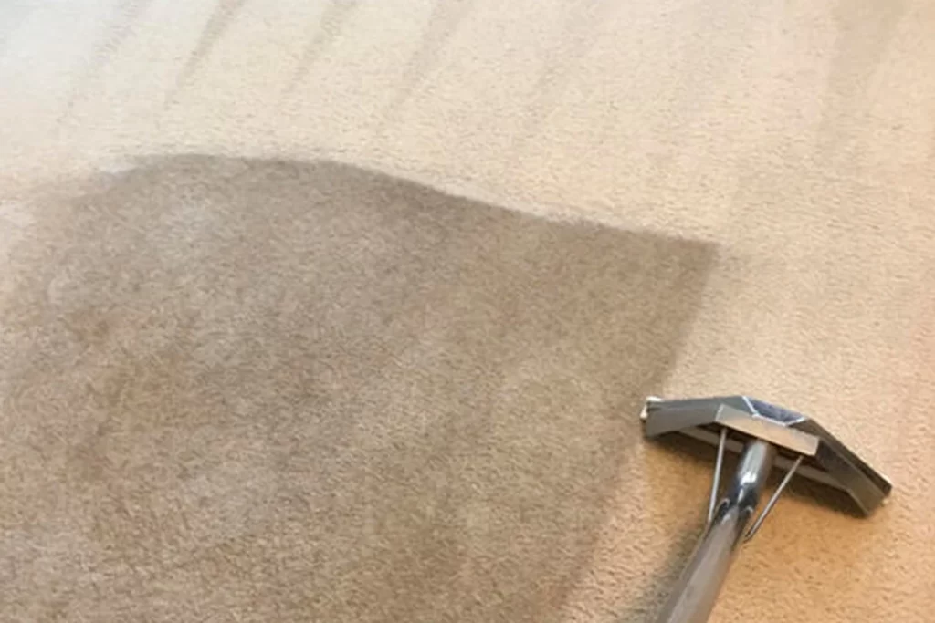 spacek carpet cleaning
