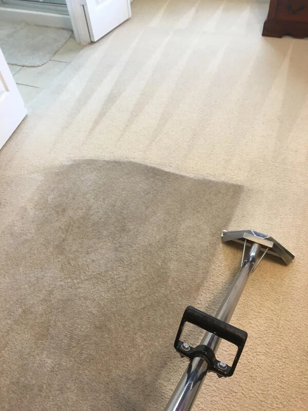 carpet steam cleaning service removes dirt, alergens and odors